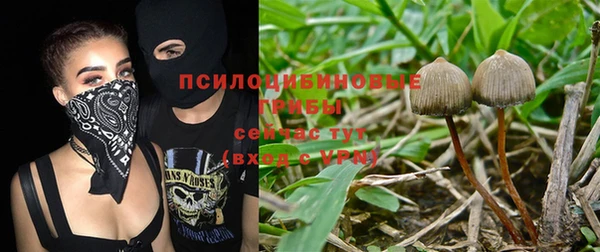 MESCALINE Армянск
