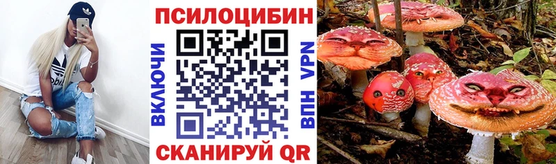 Купить закладки Агидель Псилоцибиновые грибы Cubensis